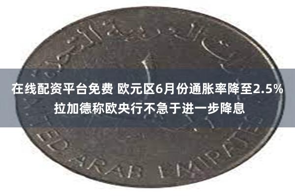 在线配资平台免费 欧元区6月份通胀率降至2.5% 拉加德称欧央行不急于进一步降息