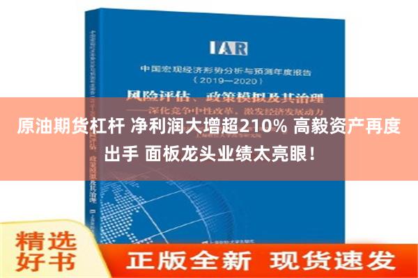 原油期货杠杆 净利润大增超210% 高毅资产再度出手 面板龙头业绩太亮眼！