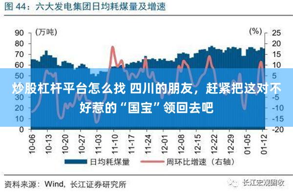 炒股杠杆平台怎么找 四川的朋友，赶紧把这对不好惹的“国宝”领回去吧