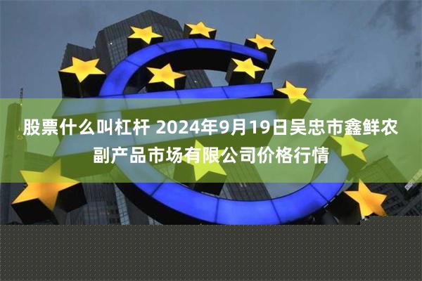 股票什么叫杠杆 2024年9月19日吴忠市鑫鲜农副产品市场有限公司价格行情