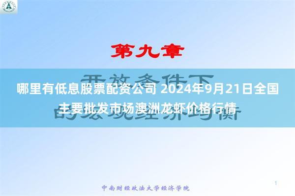 哪里有低息股票配资公司 2024年9月21日全国主要批发市场澳洲龙虾价格行情