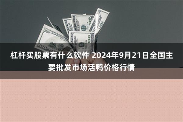 杠杆买股票有什么软件 2024年9月21日全国主要批发市场活鸭价格行情