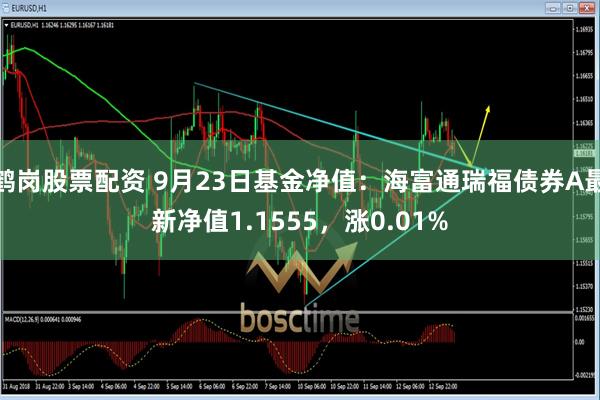 鹤岗股票配资 9月23日基金净值：海富通瑞福债券A最新净值1.1555，涨0.01%