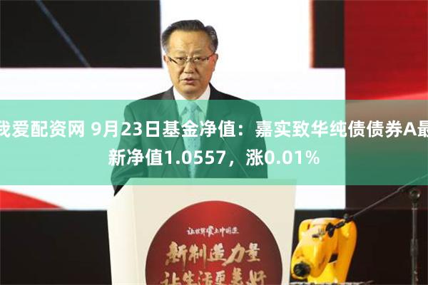 我爱配资网 9月23日基金净值：嘉实致华纯债债券A最新净值1.0557，涨0.01%