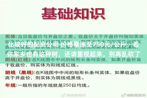 比较好的配资公司 价格暴涨至750元/公斤，若你家乡也有这种树，还请重视起来，别再乱砍了