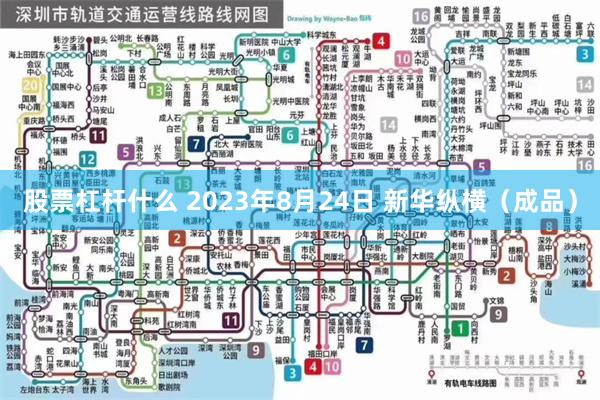 股票杠杆什么 2023年8月24日 新华纵横（成品）