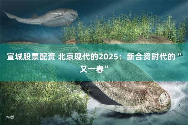 宣城股票配资 北京现代的2025：新合资时代的“又一春”