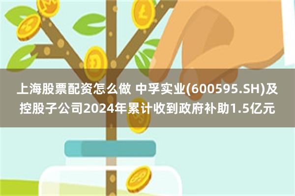 上海股票配资怎么做 中孚实业(600595.SH)及控股子公司2024年累计收到政府补助1.5亿元