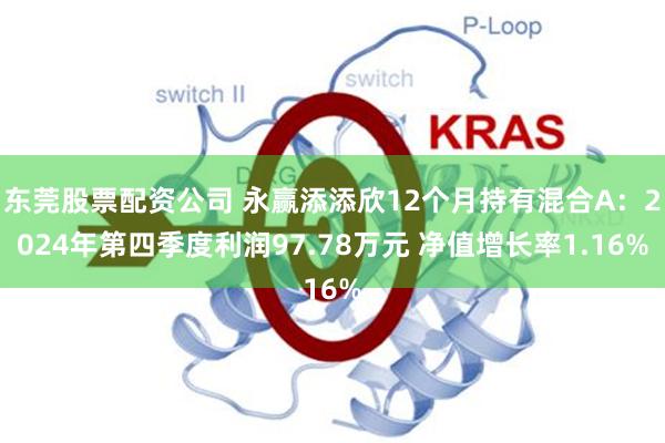 东莞股票配资公司 永赢添添欣12个月持有混合A：2024年第四季度利润97.78万元 净值增长率1.16%