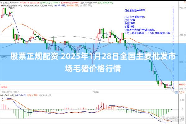 股票正规配资 2025年1月28日全国主要批发市场毛猪价格行情